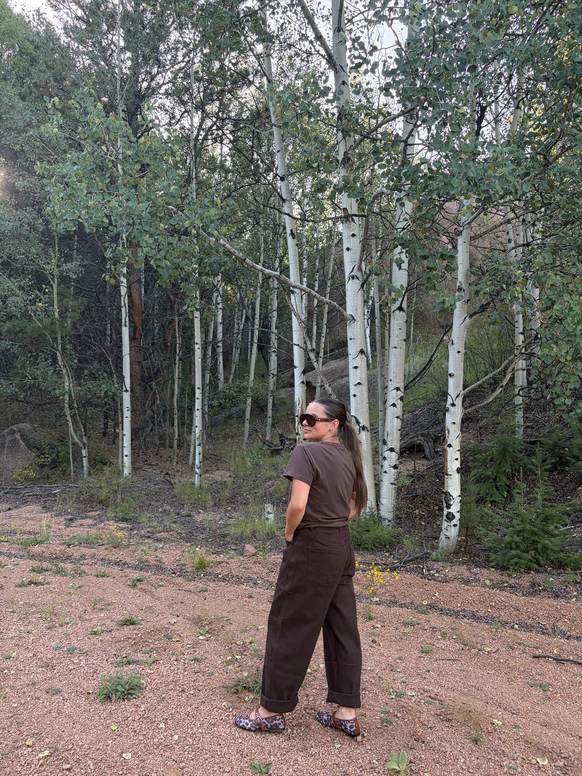 Classic Tee in Brown